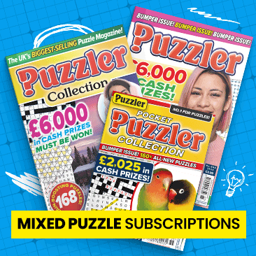 Mixed puzzle magazines