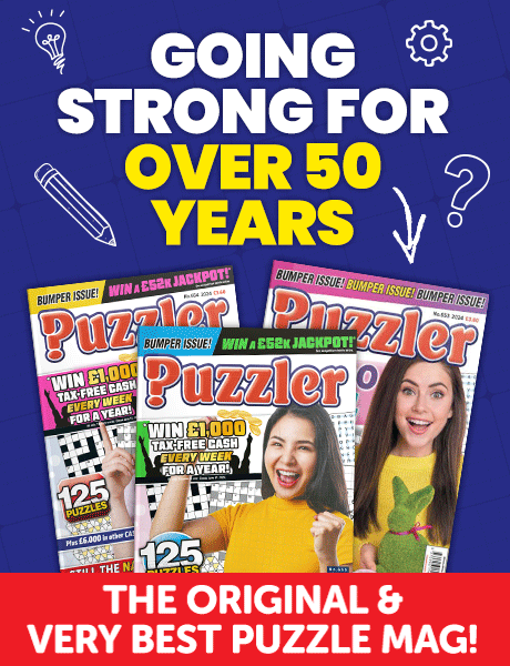 Puzzler