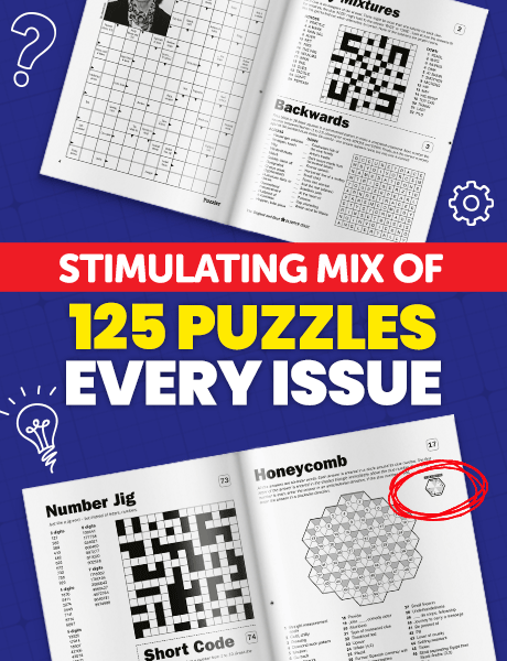 Puzzler