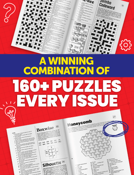 Puzzler Collection