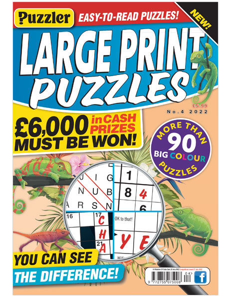 Large Print Puzzles Bundle