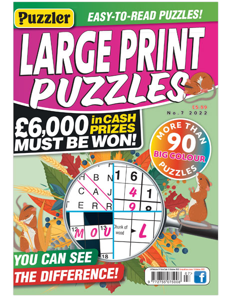 Large Print Puzzles Issue 7