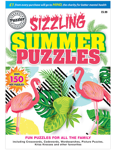 Sizzling Summer Puzzles